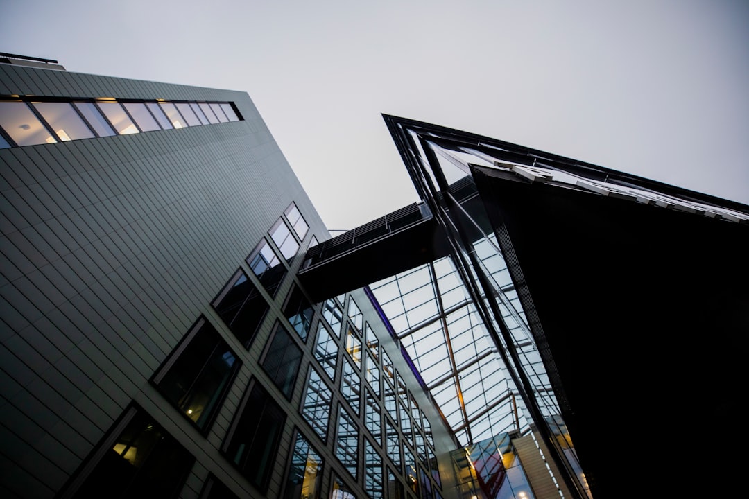 Cum să-ți organizezi fluxurile financiare corect